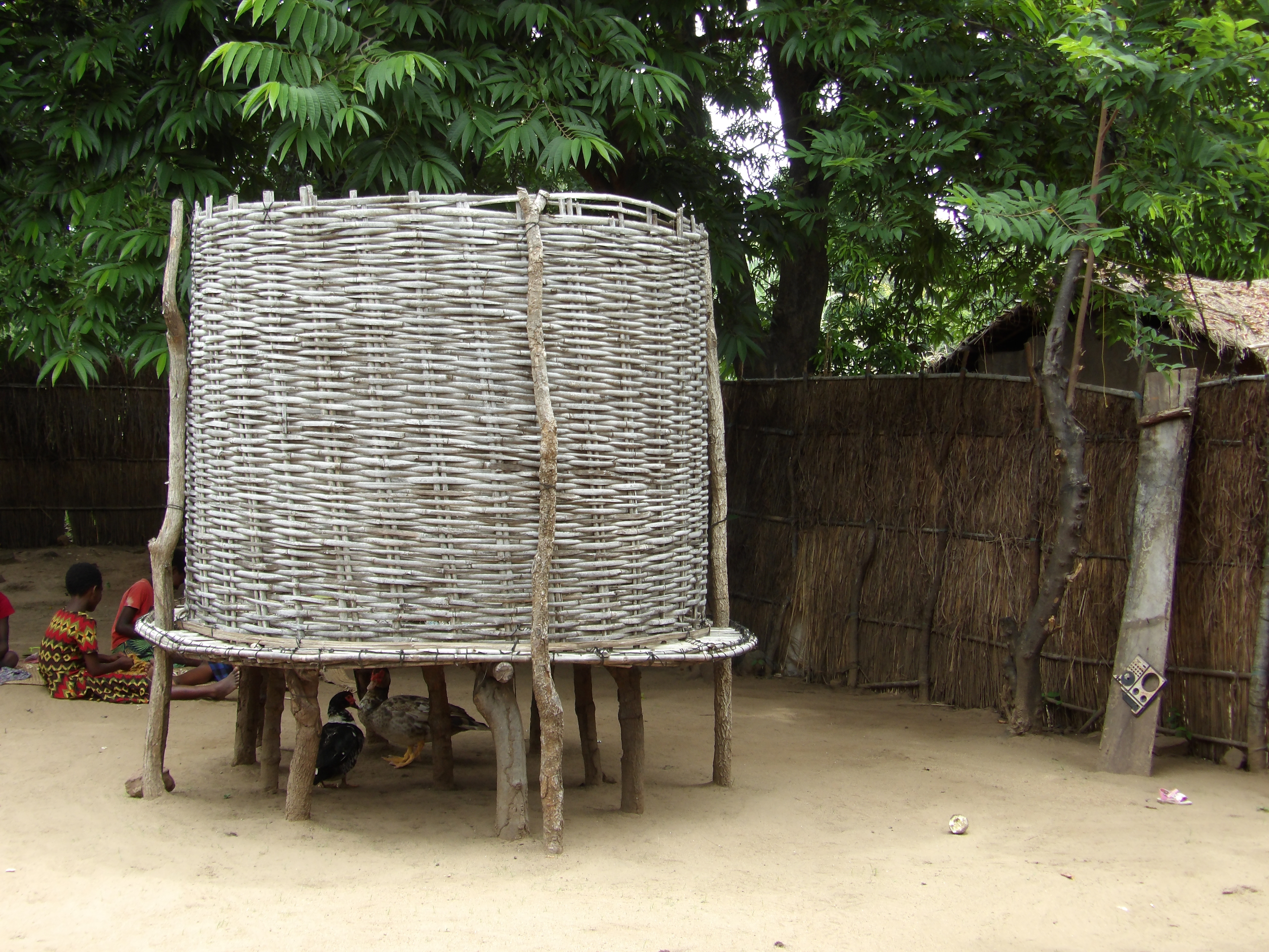 Climate Change And Adaptation